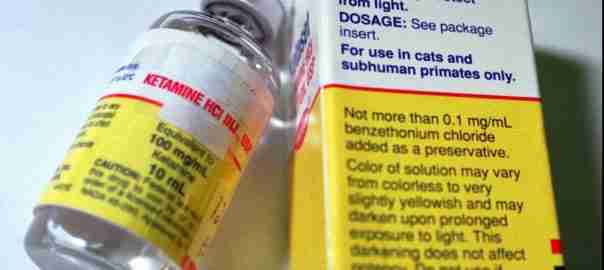 Buy Tiletamine Online, Dog anesthesia, Cat anesthesia.